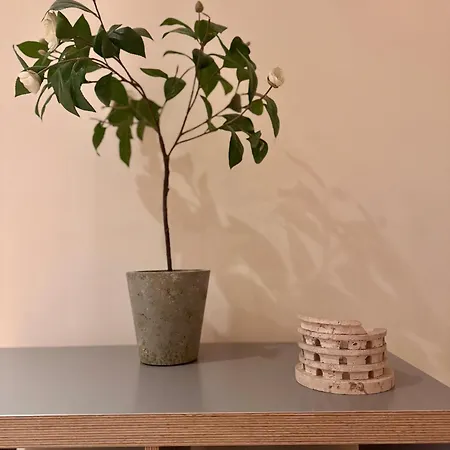 Roma Da Noi Suite Lägenhet *